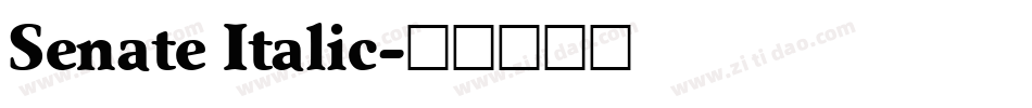 Senate Italic字体转换